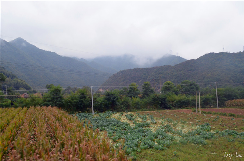 <h4>'DSC_0085_zps59ef195d' 4928 x 3264 | NIKON D5100 | 2013-09-28 09:17:04</h4>