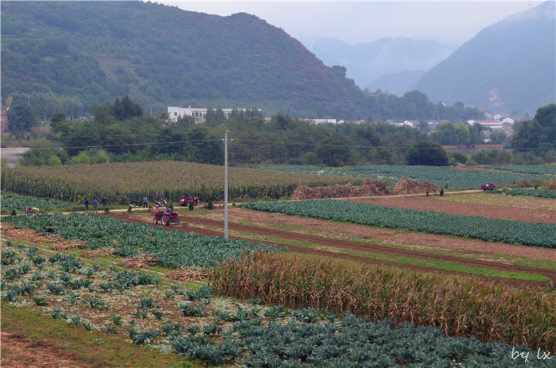 <h4>'DSC_0086_zps611f4ed7' 4928 x 3264 | NIKON D5100 | 2013-09-28 09:19:24</h4>