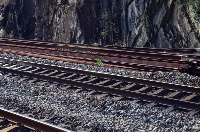 <h4>'DSC_0171_zps9bc5b639' 4928 x 3264 | NIKON D5100 | 2013-09-28 15:12:33</h4>