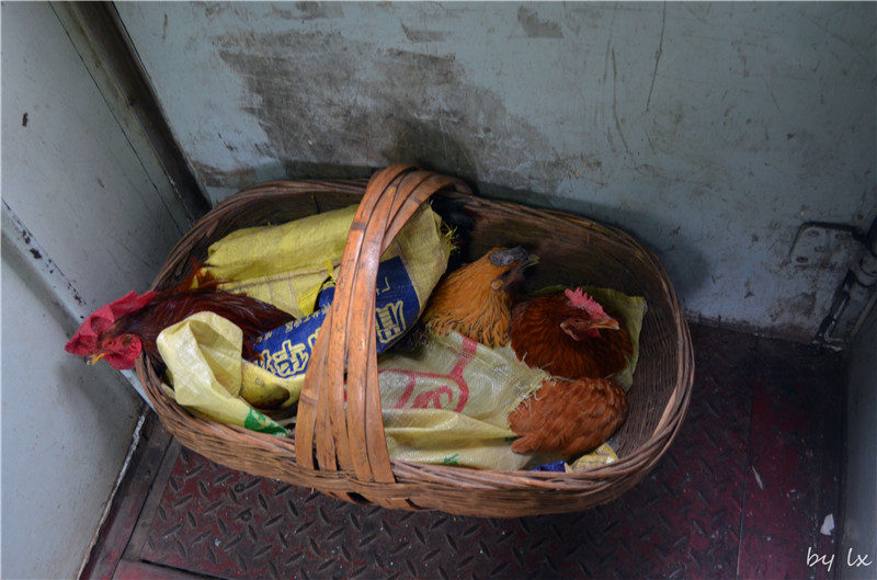 <h4>'DSC_0247_zps18eea36e' 4928 x 3264 | NIKON D5100 | 2013-09-28 17:40:49</h4>