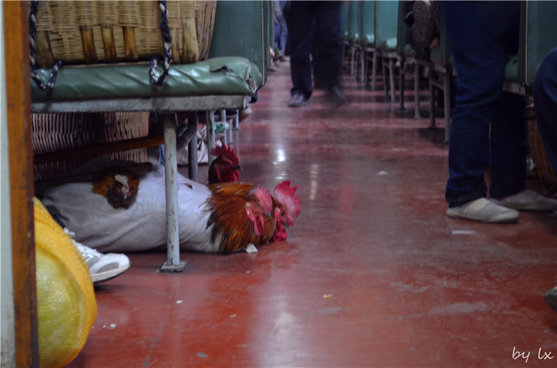 <h4>'DSC_0250_zps5a25d126' 4928 x 3264 | NIKON D5100 | 2013-09-28 17:44:02</h4>