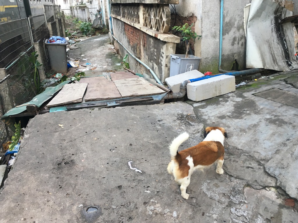 <h4>'9FF1838E-B503-48A4-A078-37613EA9418D_zpsous1soqj' 4032 x 3024 | iPhone 6s | 2017-05-24 18:32:45</h4>