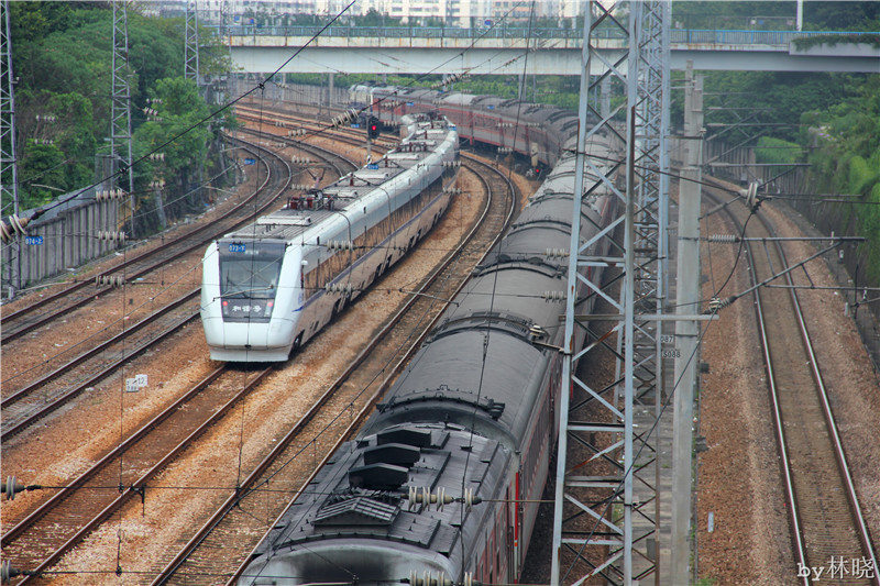 <h4>'IMG_2839_zpscd195d8d' 5184 x 3456 | Canon EOS 550D | 2013-08-11 11:14:15</h4>