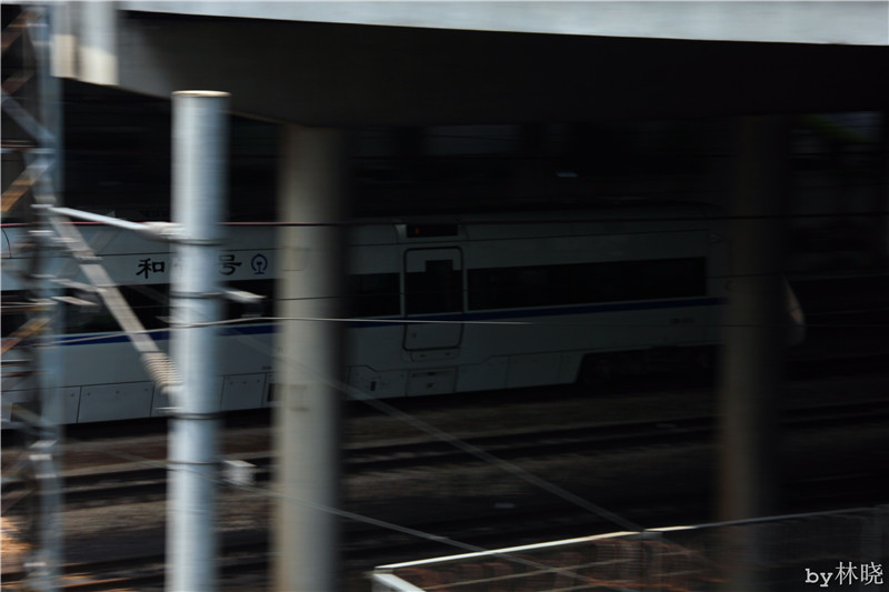 <h4>'IMG_2862_zpsc3bc6683' 5184 x 3456 | Canon EOS 550D | 2013-08-11 11:41:38</h4>