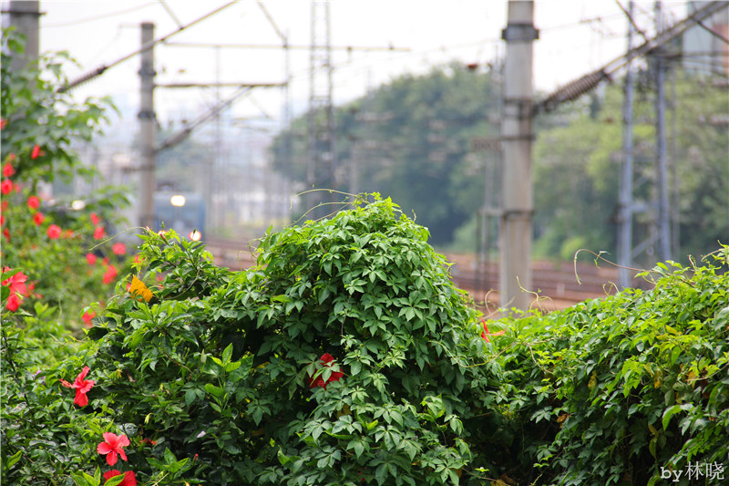 <h4>'IMG_2873_zpscc6557c5' 5184 x 3456 | Canon EOS 550D | 2013-08-11 11:51:11</h4>