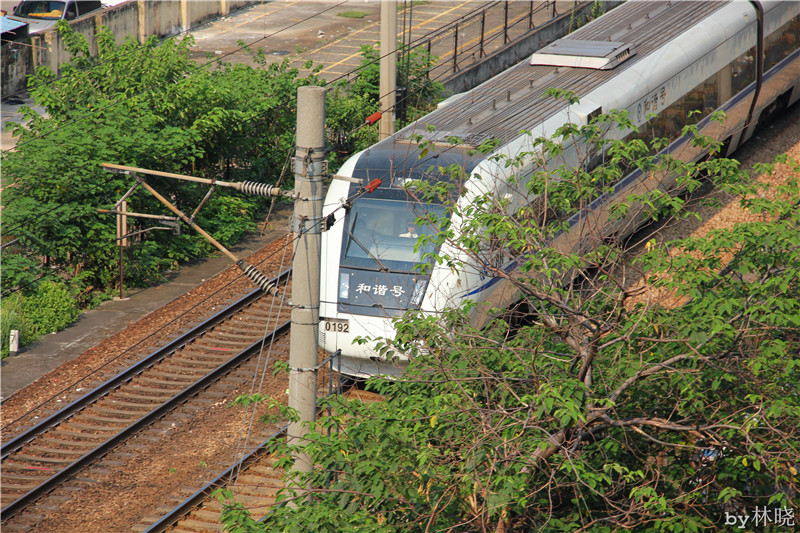 <h4>'IMG_2890_zps916b21f5' 5184 x 3456 | Canon EOS 550D | 2013-08-11 16:12:16</h4>