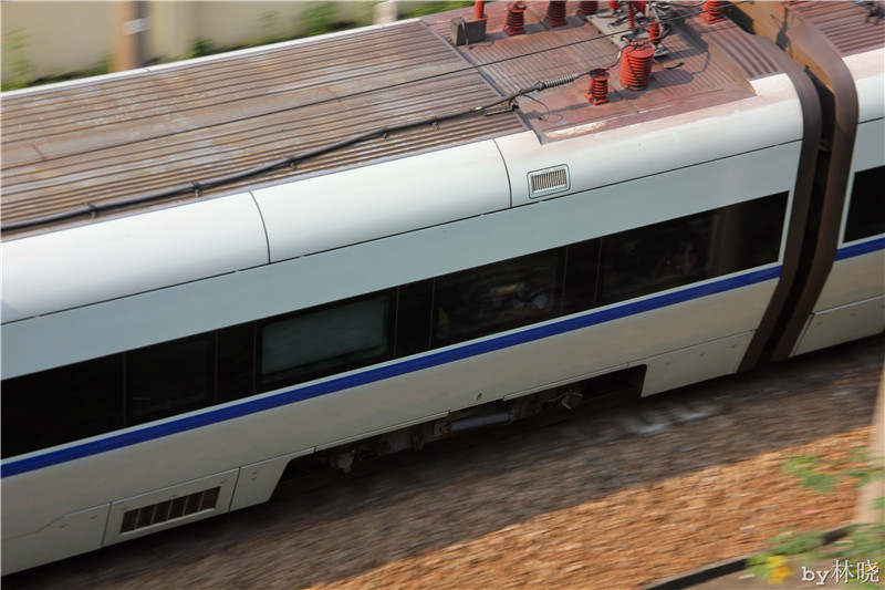 <h4>'IMG_2892_zpsc8fdb8dd' 5184 x 3456 | Canon EOS 550D | 2013-08-11 16:12:30</h4>