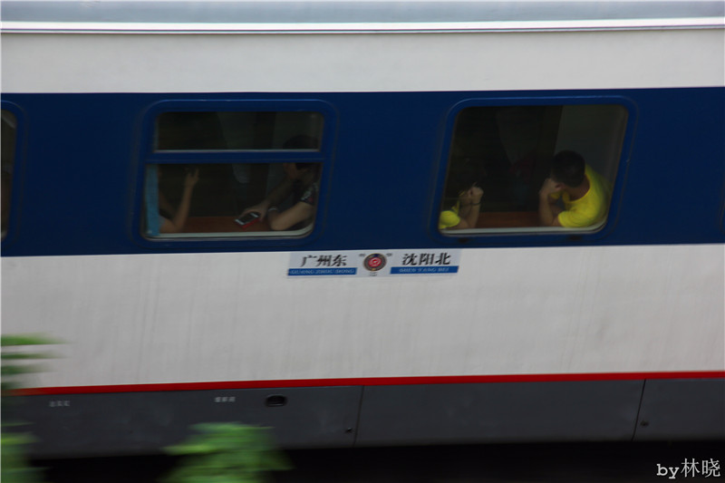 <h4>'IMG_2907_zps912be3c8' 5184 x 3456 | Canon EOS 550D | 2013-08-11 16:28:36</h4>