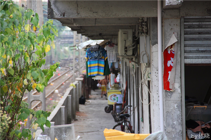 <h4>'IMG_2940_zpsebdc15f5' 5184 x 3456 | Canon EOS 550D | 2013-08-12 16:04:37</h4>