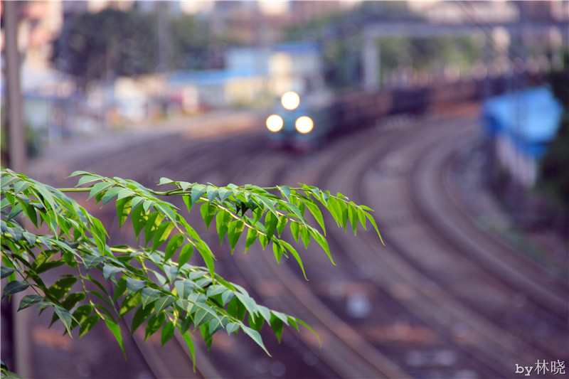 <h4>'IMG_2971_zps2f56c982' 5184 x 3456 | Canon EOS 550D | 2013-08-12 17:32:41</h4>