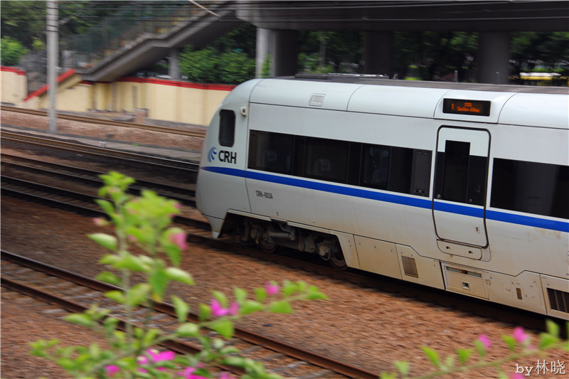 <h4>'IMG_3004_zps2e2498d6' 5184 x 3456 | Canon EOS 550D | 2013-08-13 12:18:22</h4>