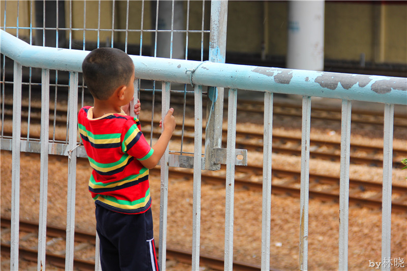 <h4>'IMG_3013_zpse4831c08' 5184 x 3456 | Canon EOS 550D | 2013-08-13 12:26:38</h4>