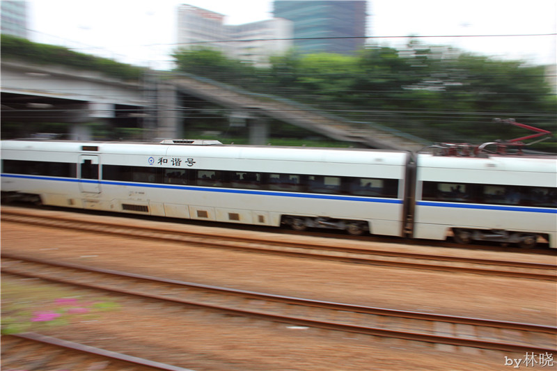 <h4>'IMG_3040_zps3264e3fb' 5184 x 3456 | Canon EOS 550D | 2013-08-13 12:39:56</h4>