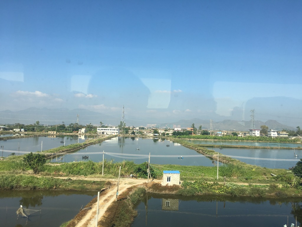 <h4>'IMG_2761_zpssavi8awd' 4032 x 3024 | iPhone 6s | 2016-12-26 12:49:21</h4>