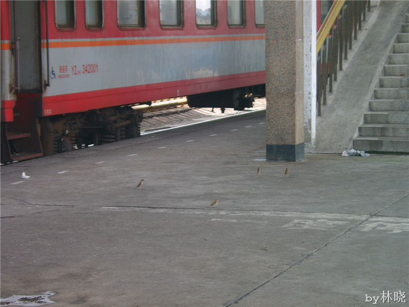 <h4>'STA52696_zpsc7939d03' 1600 x 1200 | Digimax A5 | 2013-08-08 18:45:14</h4>