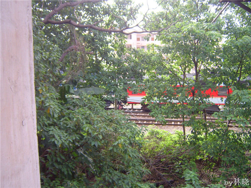 <h4>'STA52715_zps9fa8f930' 1600 x 1200 | Digimax A5 | 2013-08-08 20:01:11</h4>