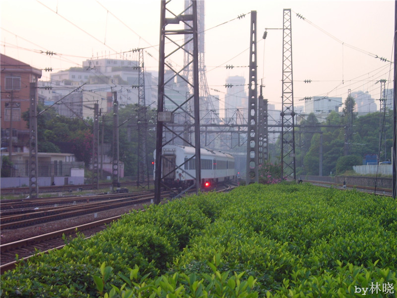 <h4>'STA52776_zps7d47d1f3' 1600 x 1200 | Digimax A5 | 2013-08-09 10:01:07</h4>